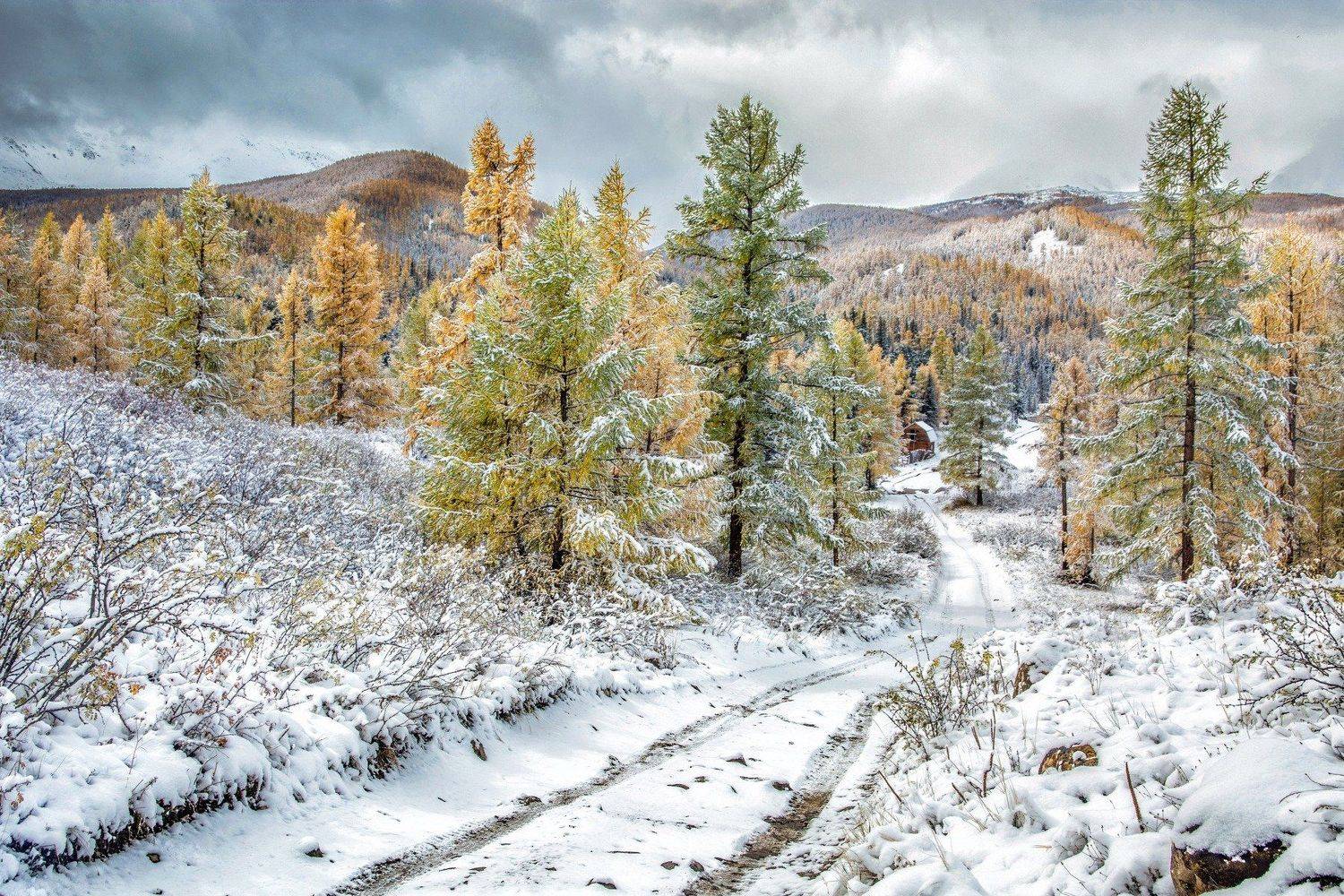 алтай,осень, Алексей Кретов