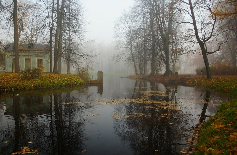 October morning фото превью