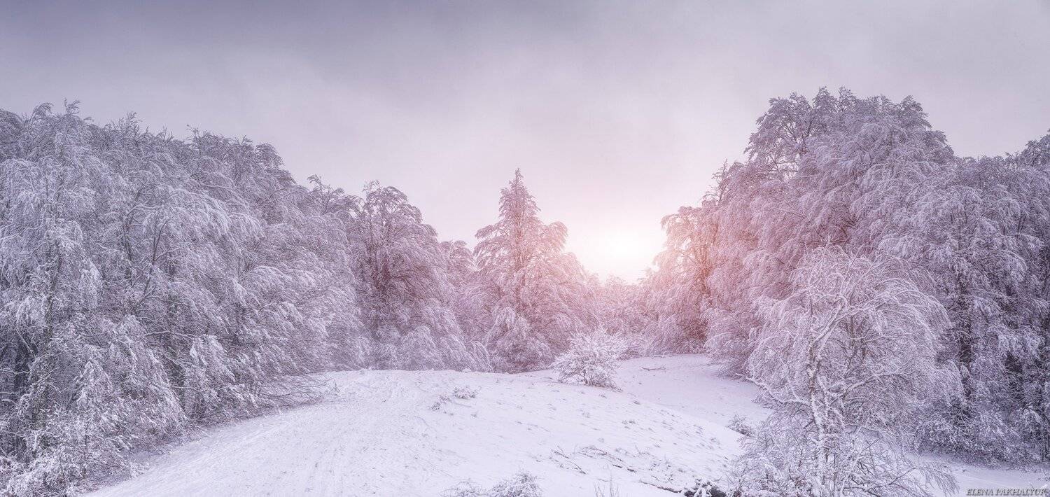 крым,пейзаж,айпетри,рассвет,закат,зима,снег,облака,солнце,путешествие,фототур,природа, Elena Pakhalyuk