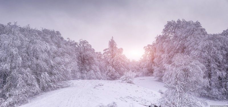крым,пейзаж,айпетри,рассвет,закат,зима,снег,облака,солнце,путешествие,фототур,природа Рассветный бархат зимнего Ай-Петри фото превью