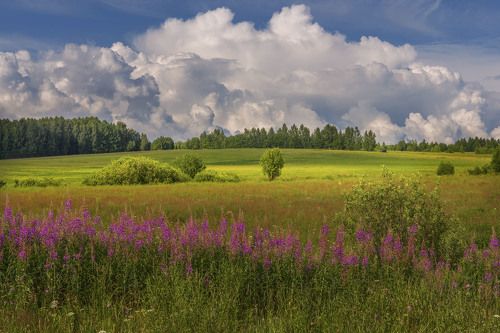 Летний день.