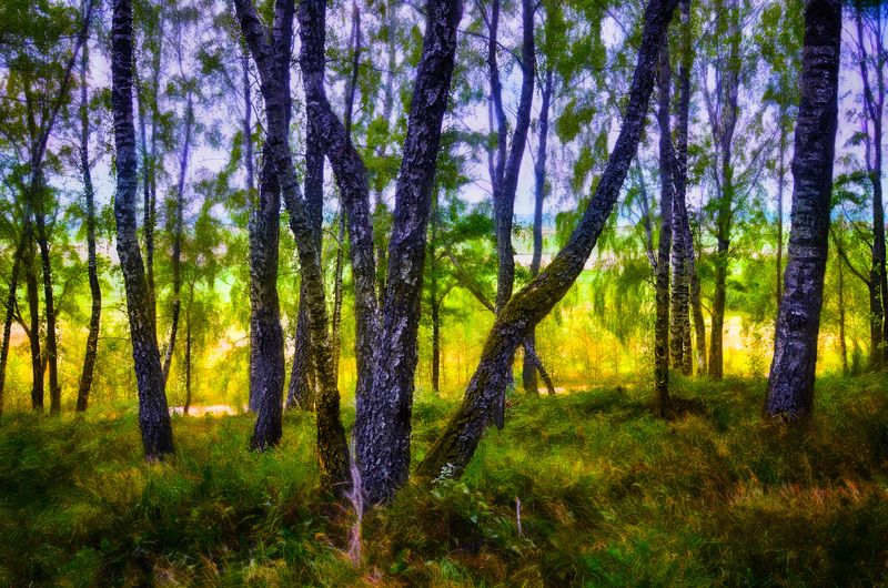 закат закат фото превью