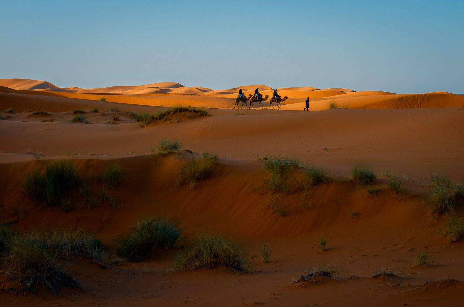 , Борис Дацковский