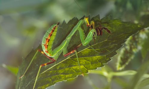 вкусный завтрак