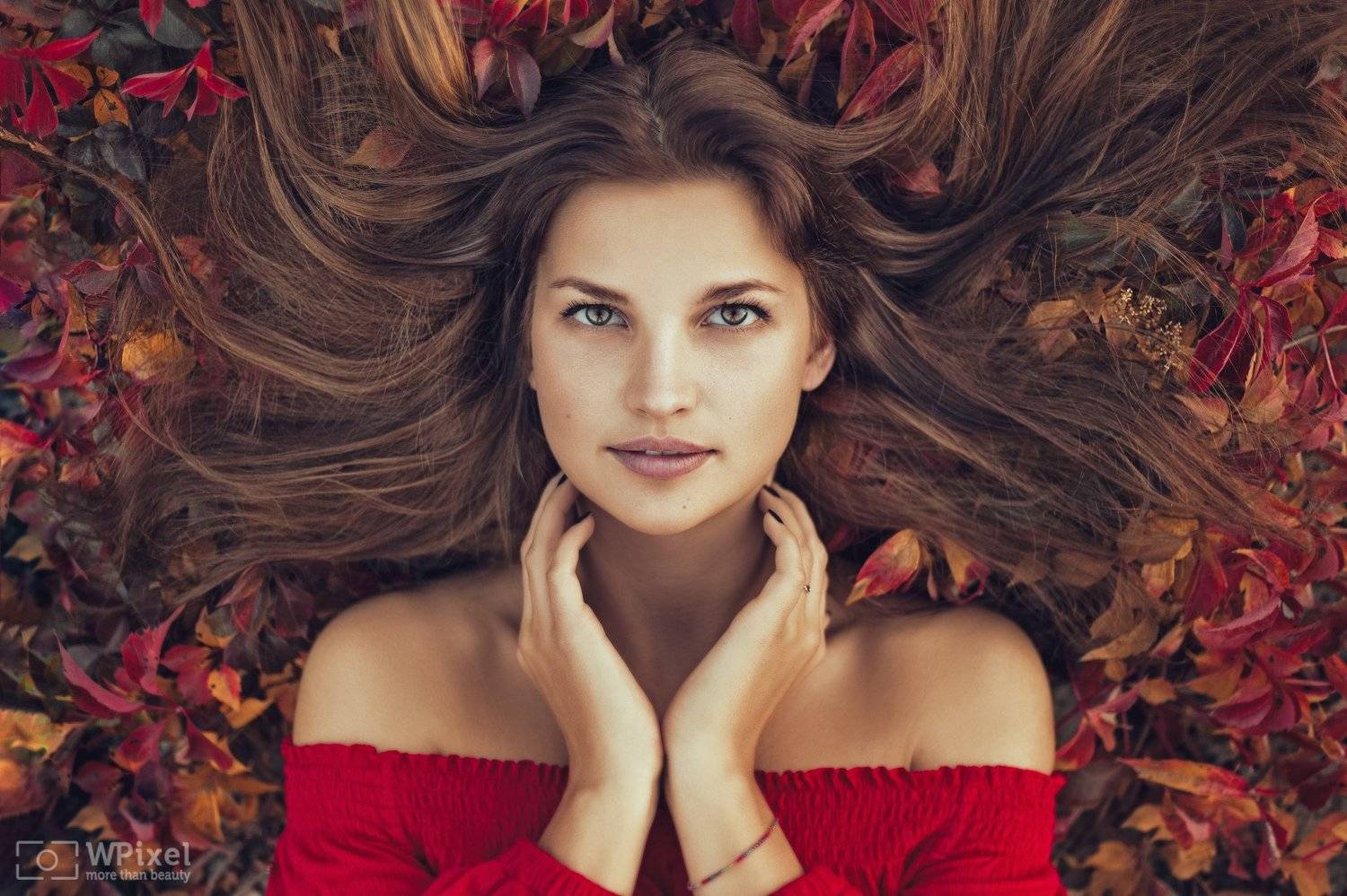 portrait women eyes brunette autumn, Wojtek Polaczkiewicz