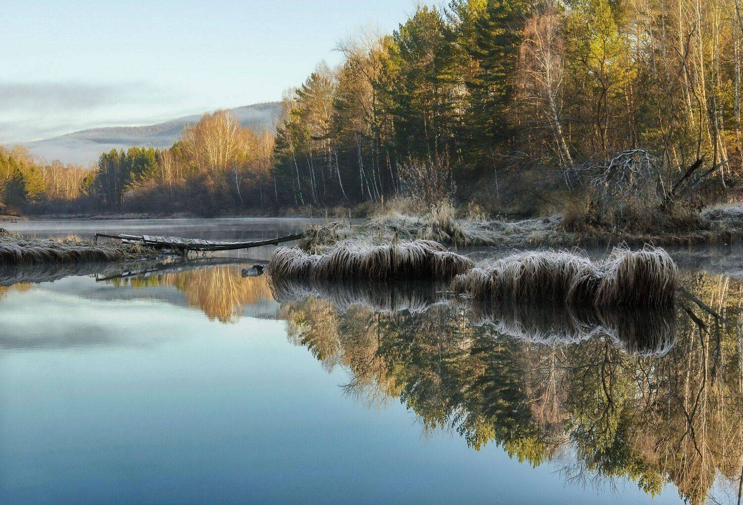 туман. осень. озерко, Марина Фомина