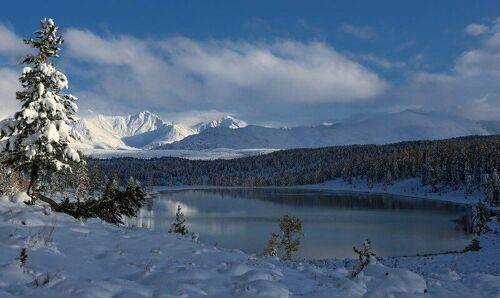 Снежное безмолвие