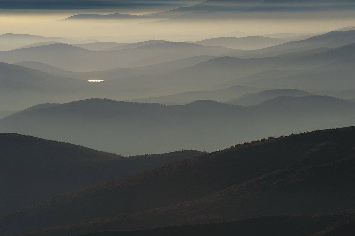 , Олег Логунов