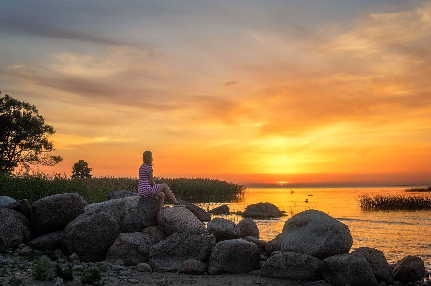 пейзаж, закат, финский, залив, александр таничев