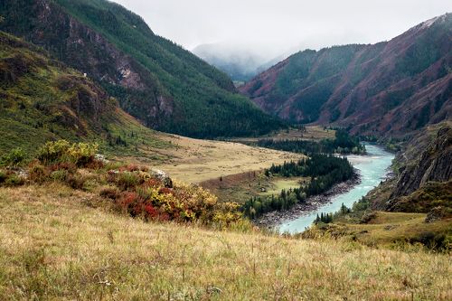В окрестностях Инегеня...