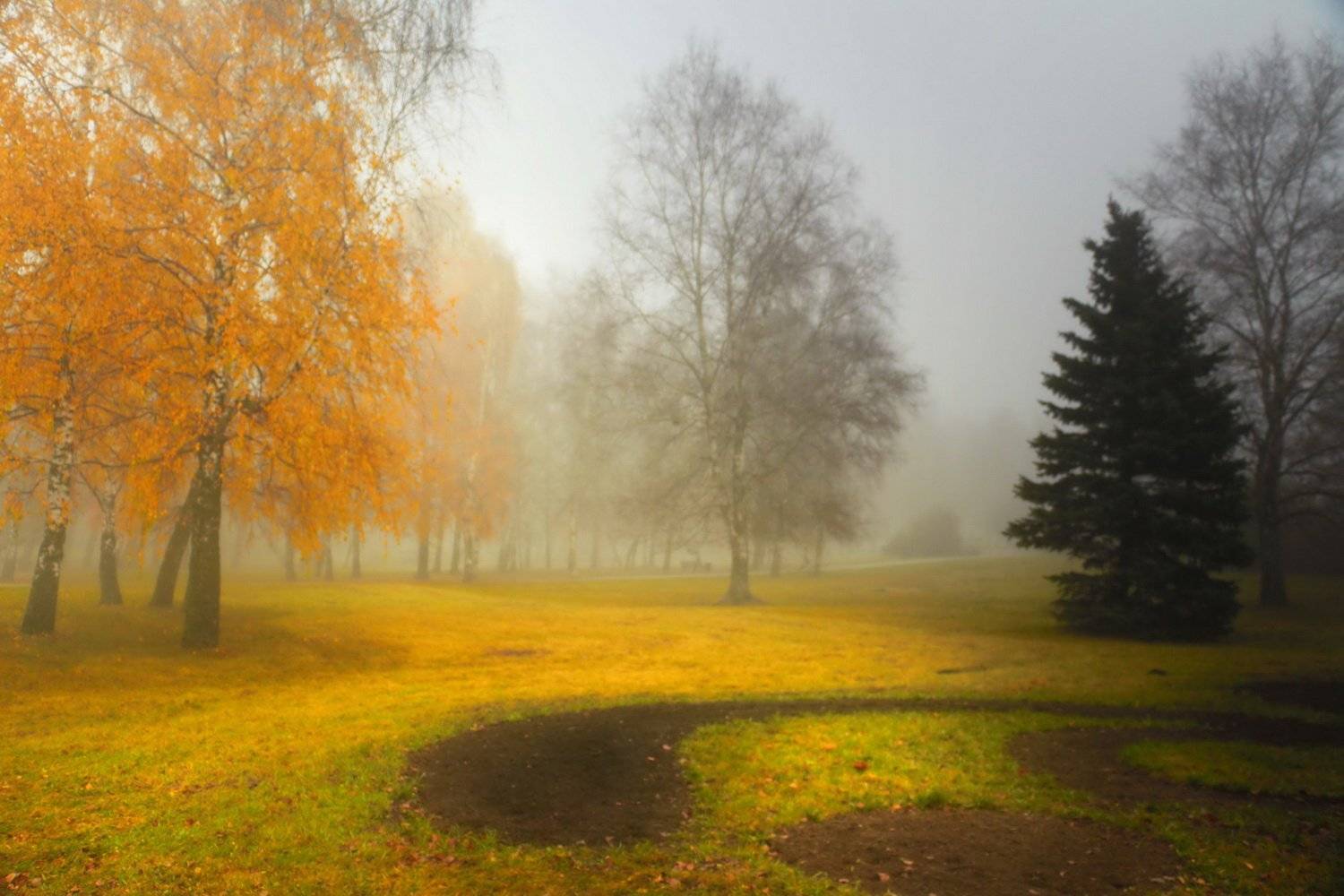 , Валерий Козуб