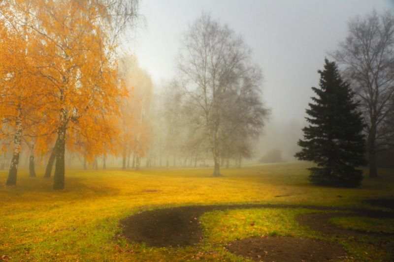 Раніца фото превью