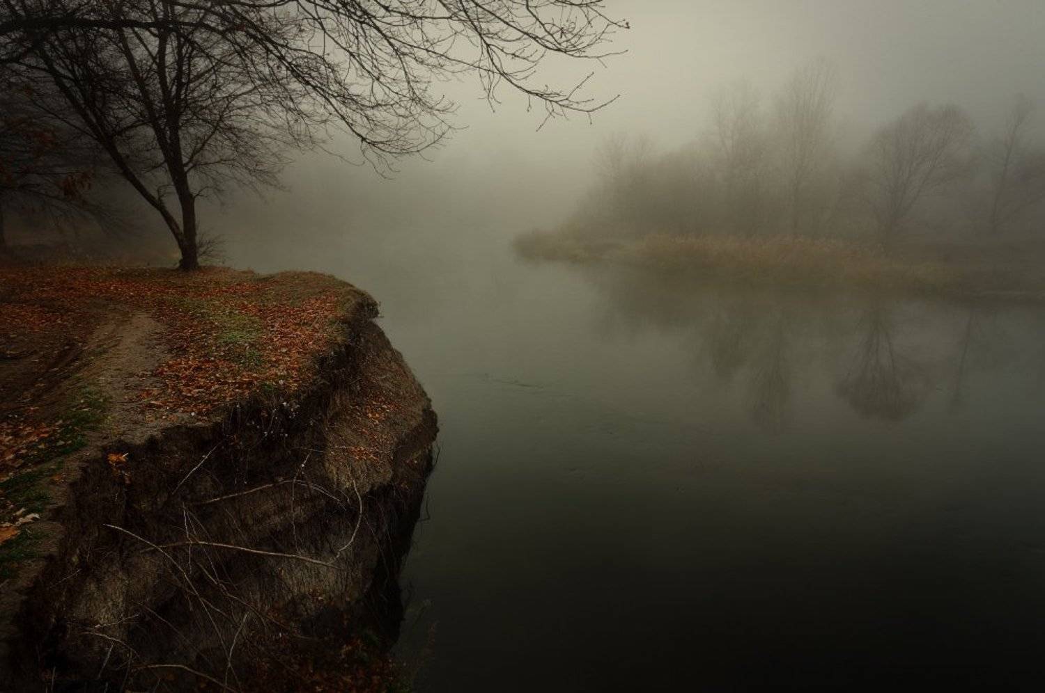 обрыв, осень, река, туман, утро, Петриченко Валерий