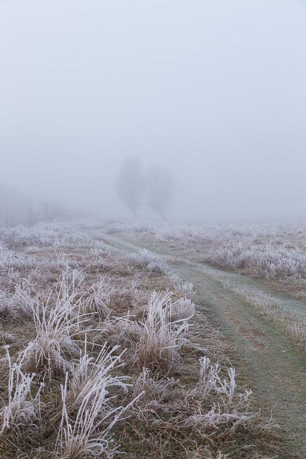, Александр Подрез