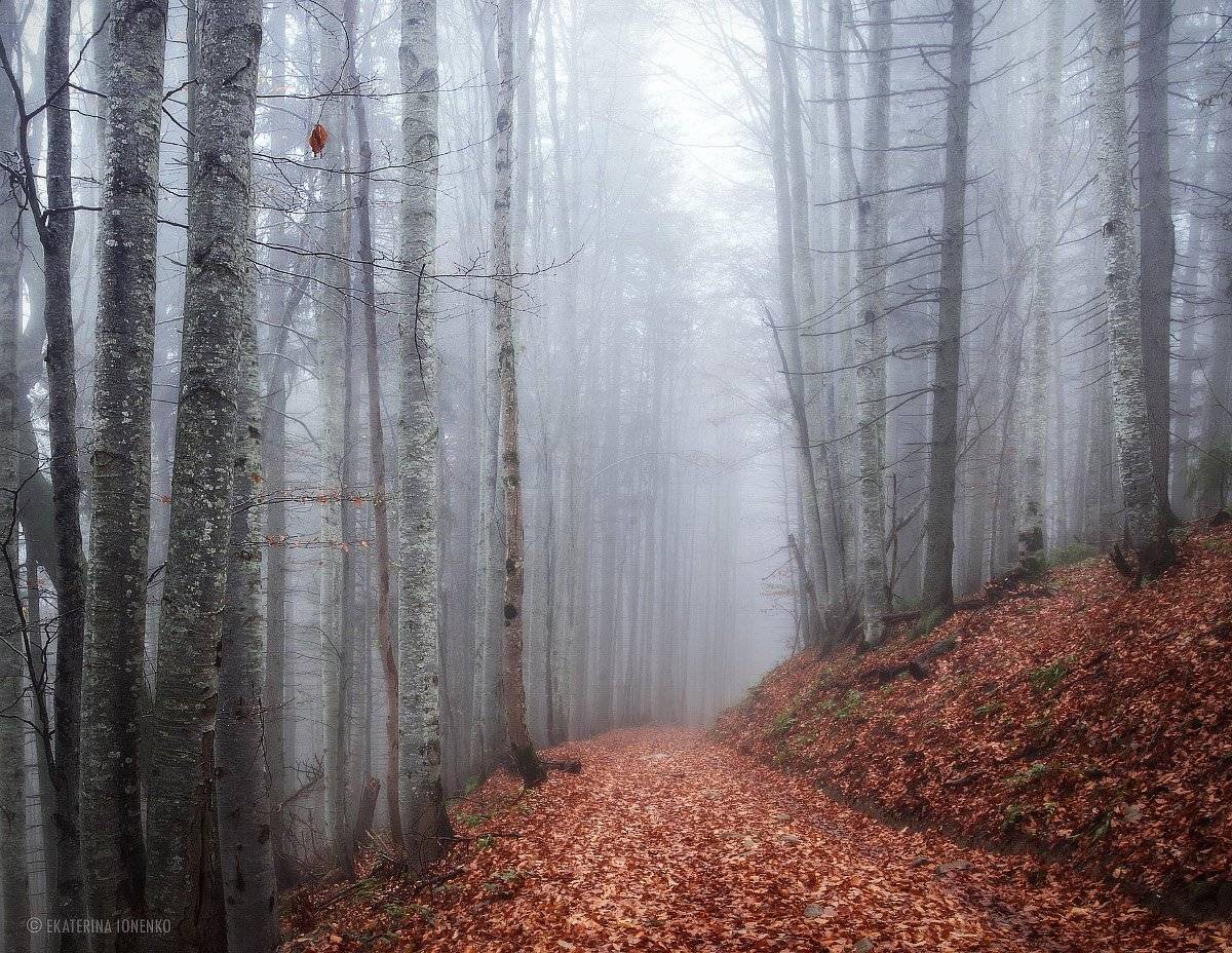 , Екатерина Ионенко