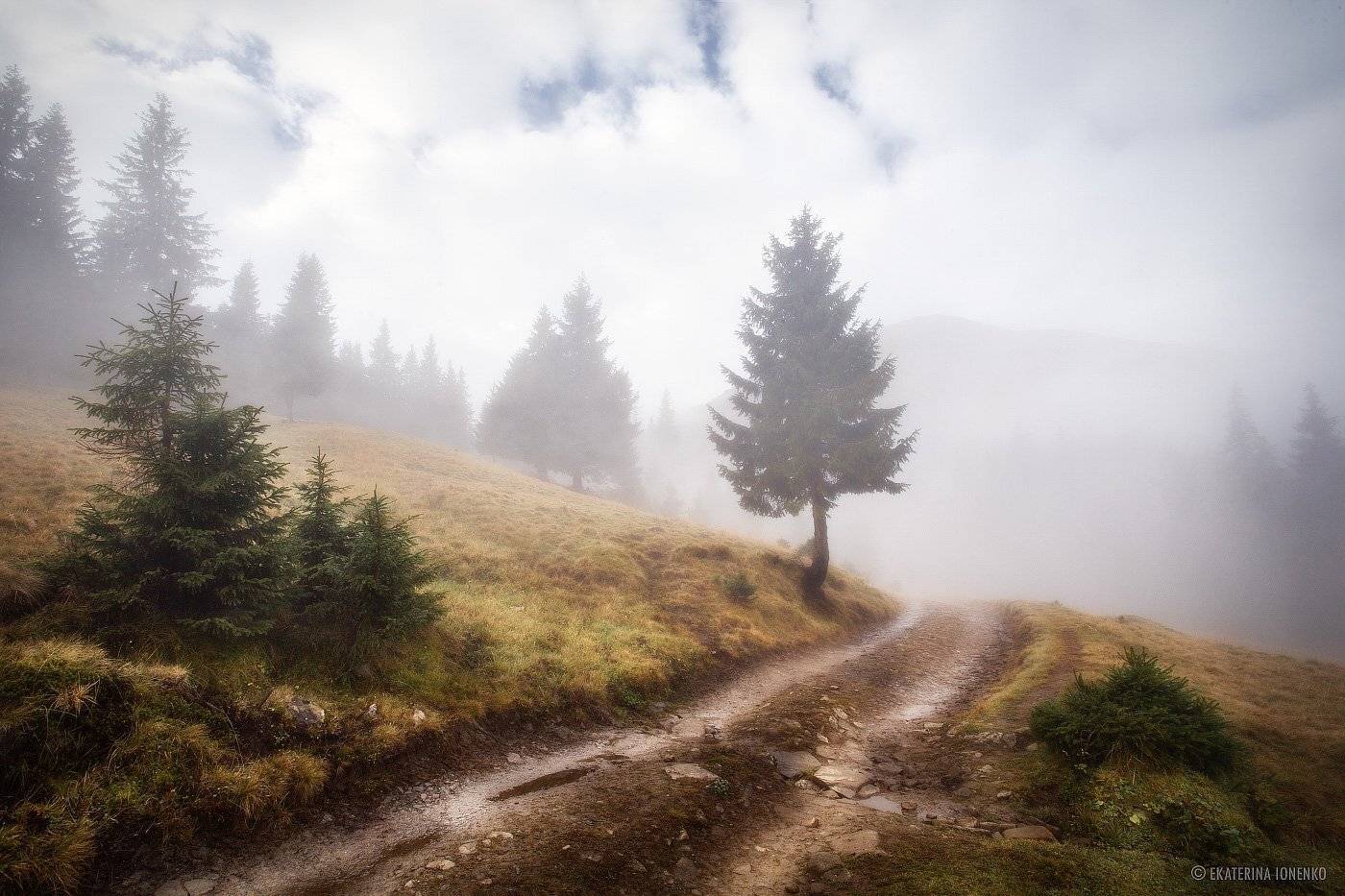 , Екатерина Ионенко