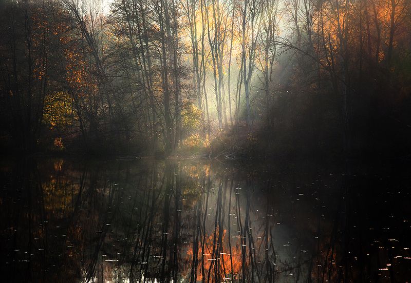 ... фото превью