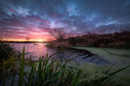 Ноябрьское утро