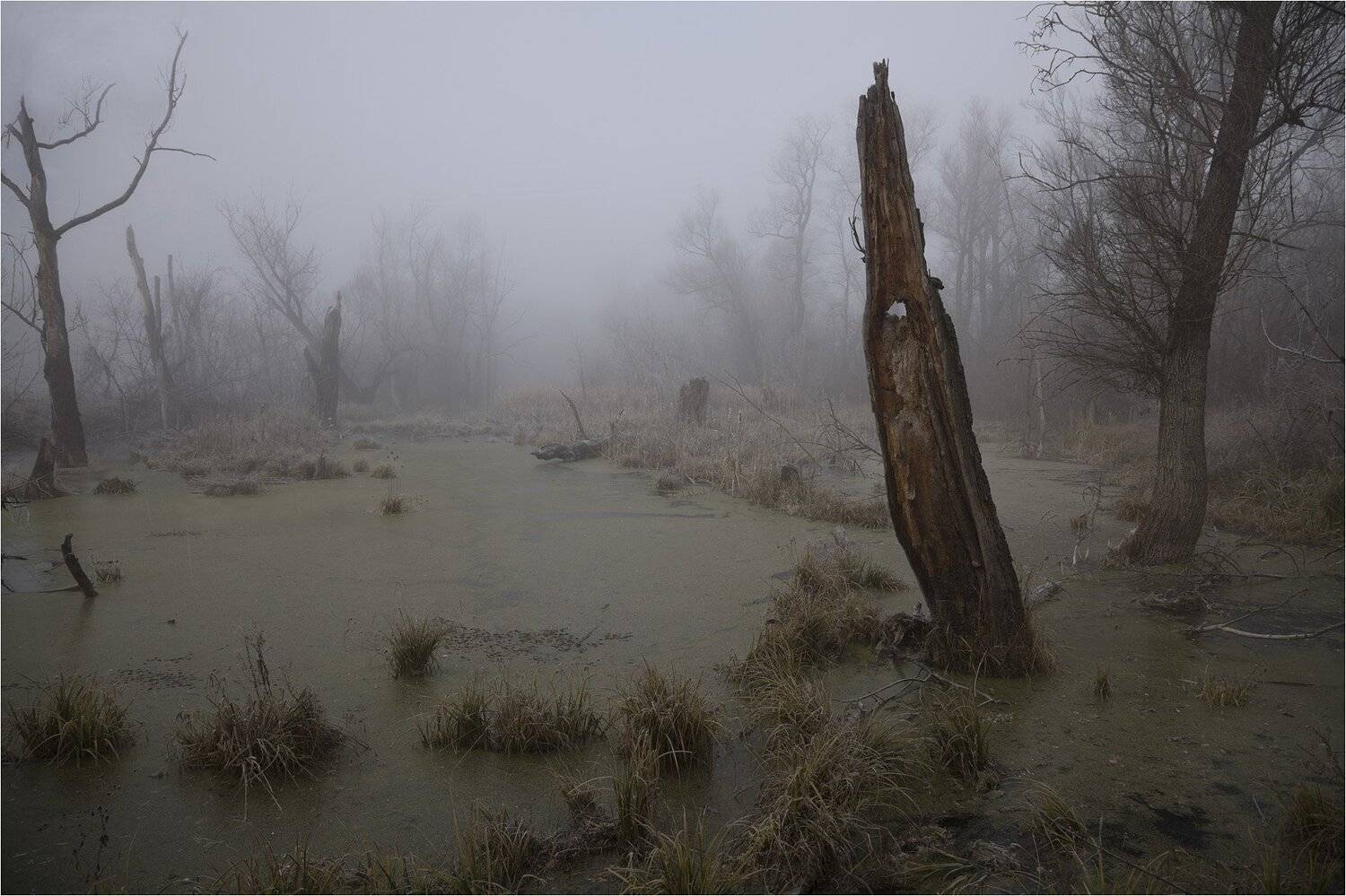 осень, Виктор Кириллов