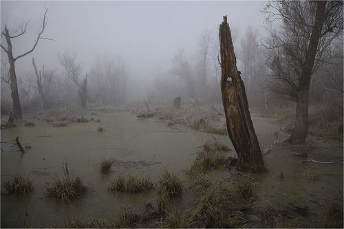 заводь