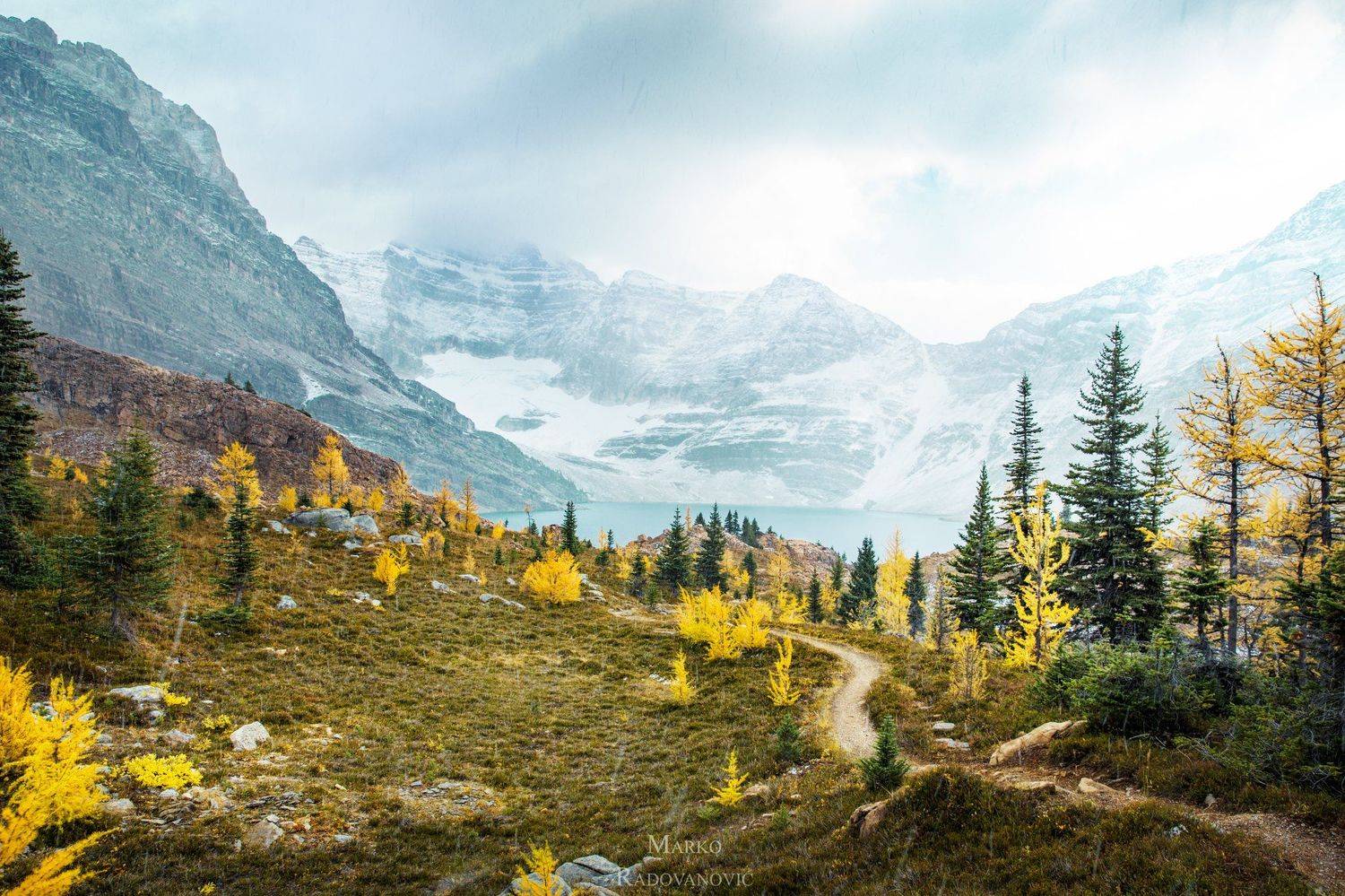 лиственница, канада, осень, снег, холод, золотой, деревья, пейзаж, природа, британская колумбия, альпийский, горы, озеро, #canada #britishcolumbia #bc #yoho #yohonationalpark #larchseason #amazingnature #explorecanada #canadainpictures #autumncolors #autu, Marko Radovanovic