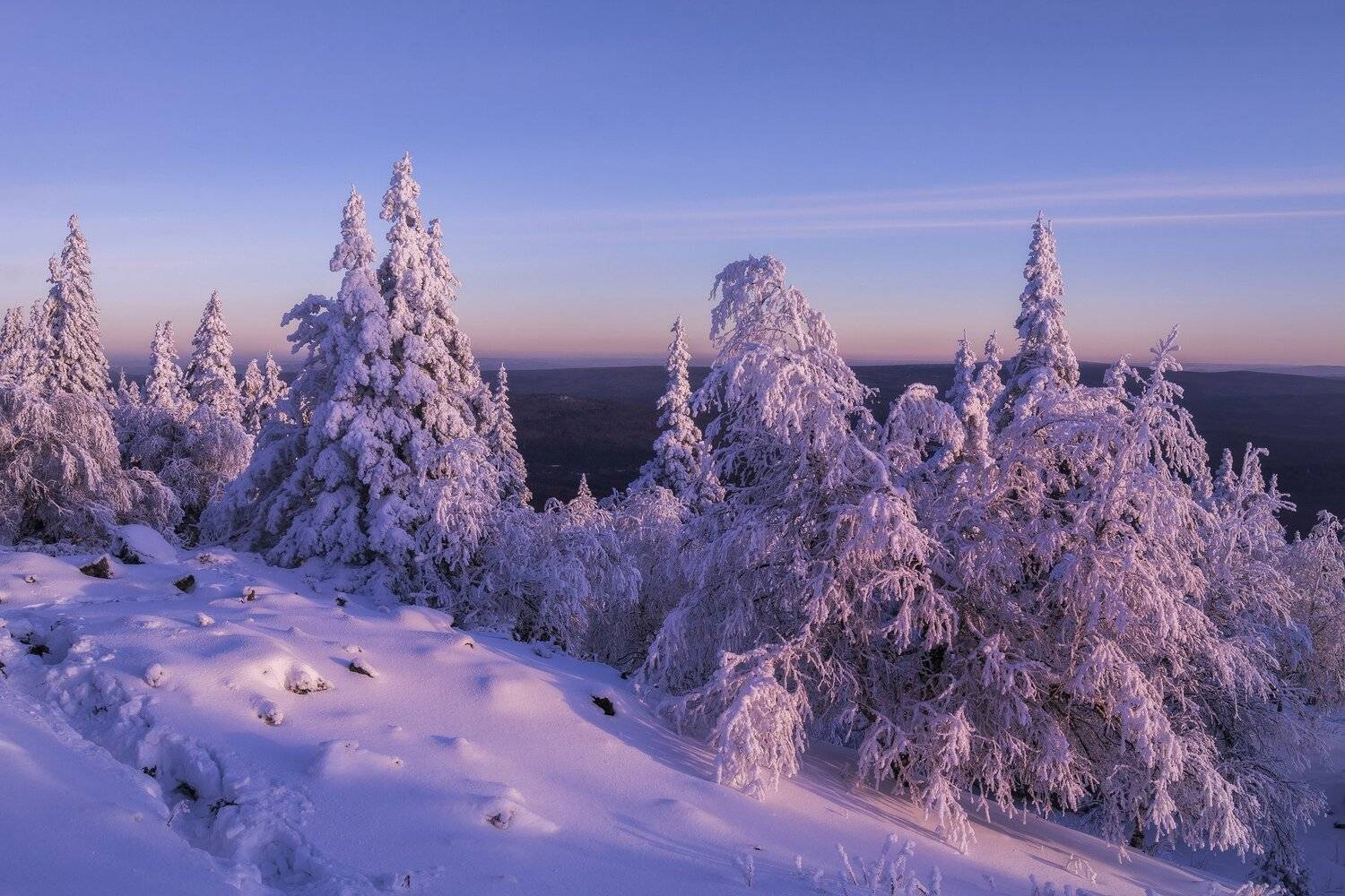 , Андрей Шарапов
