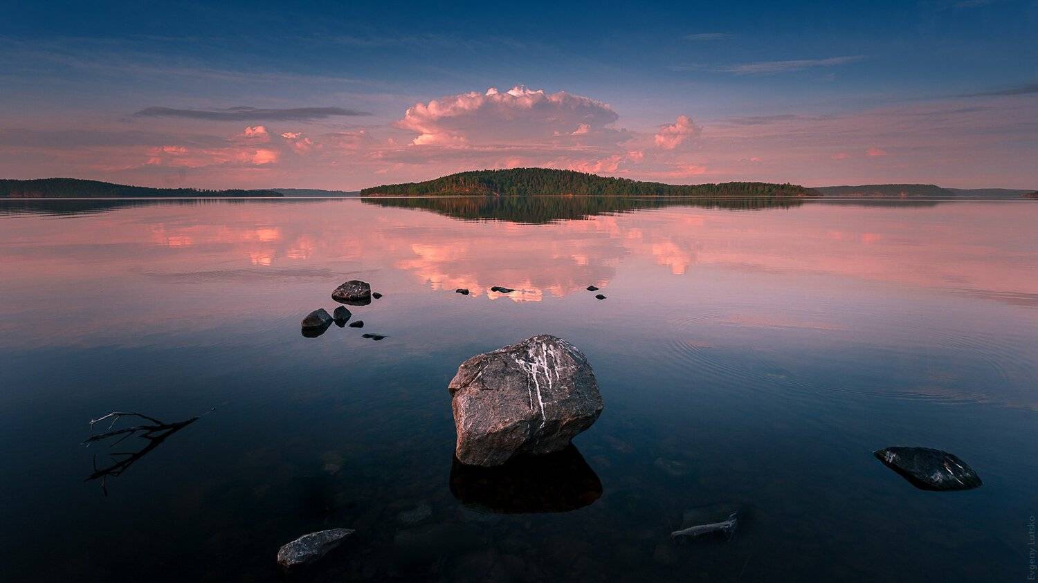 , Евгений Луцко