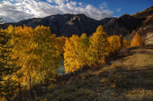 В вечернем свете золотом