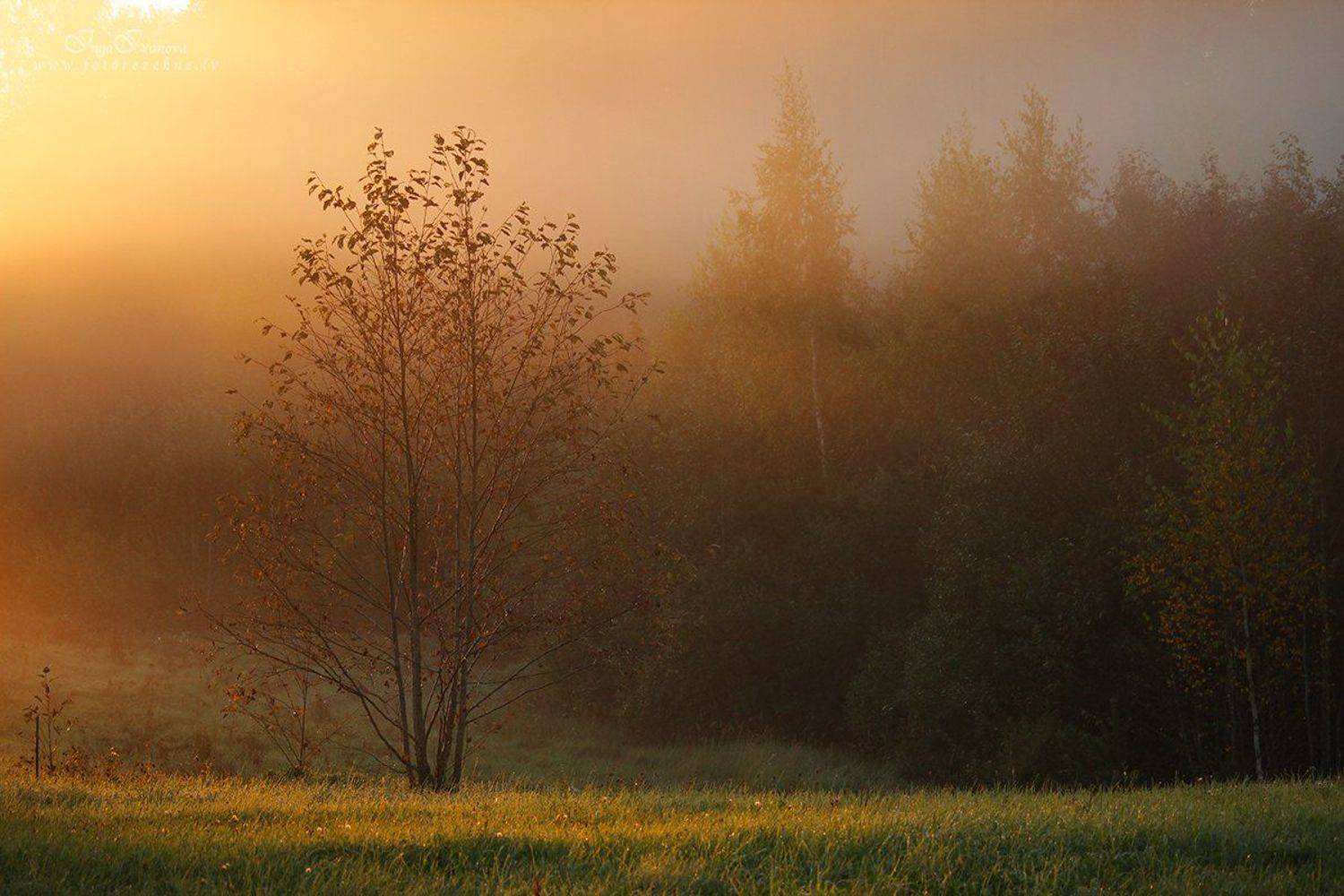тихая спокойная осень, Инга Иванова