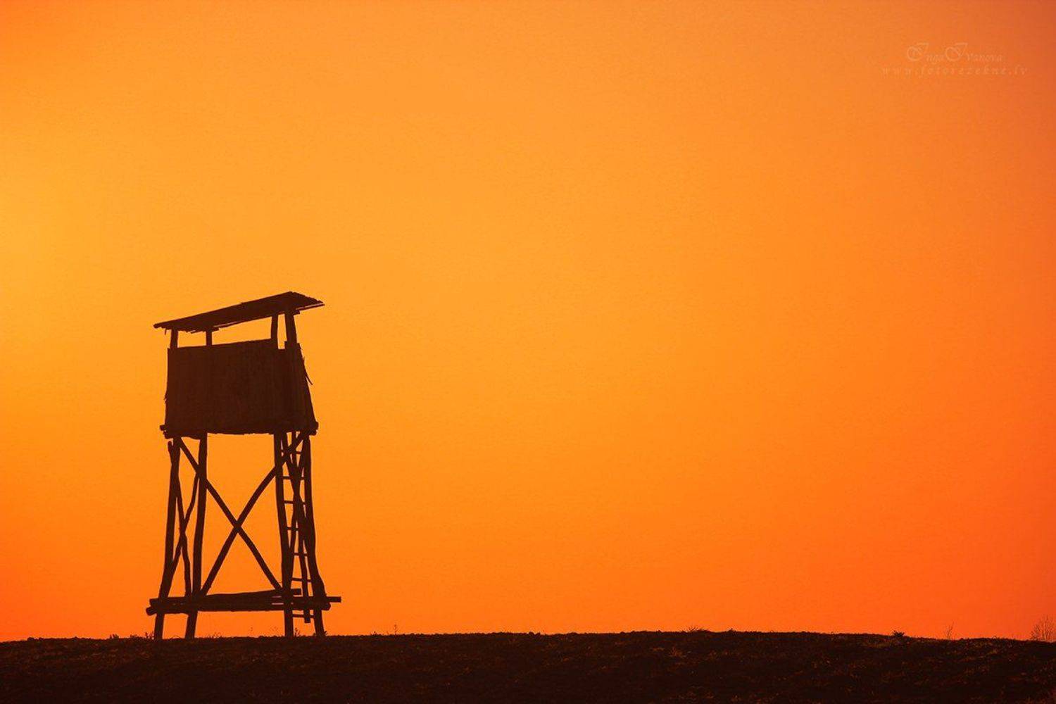 , Инга Иванова