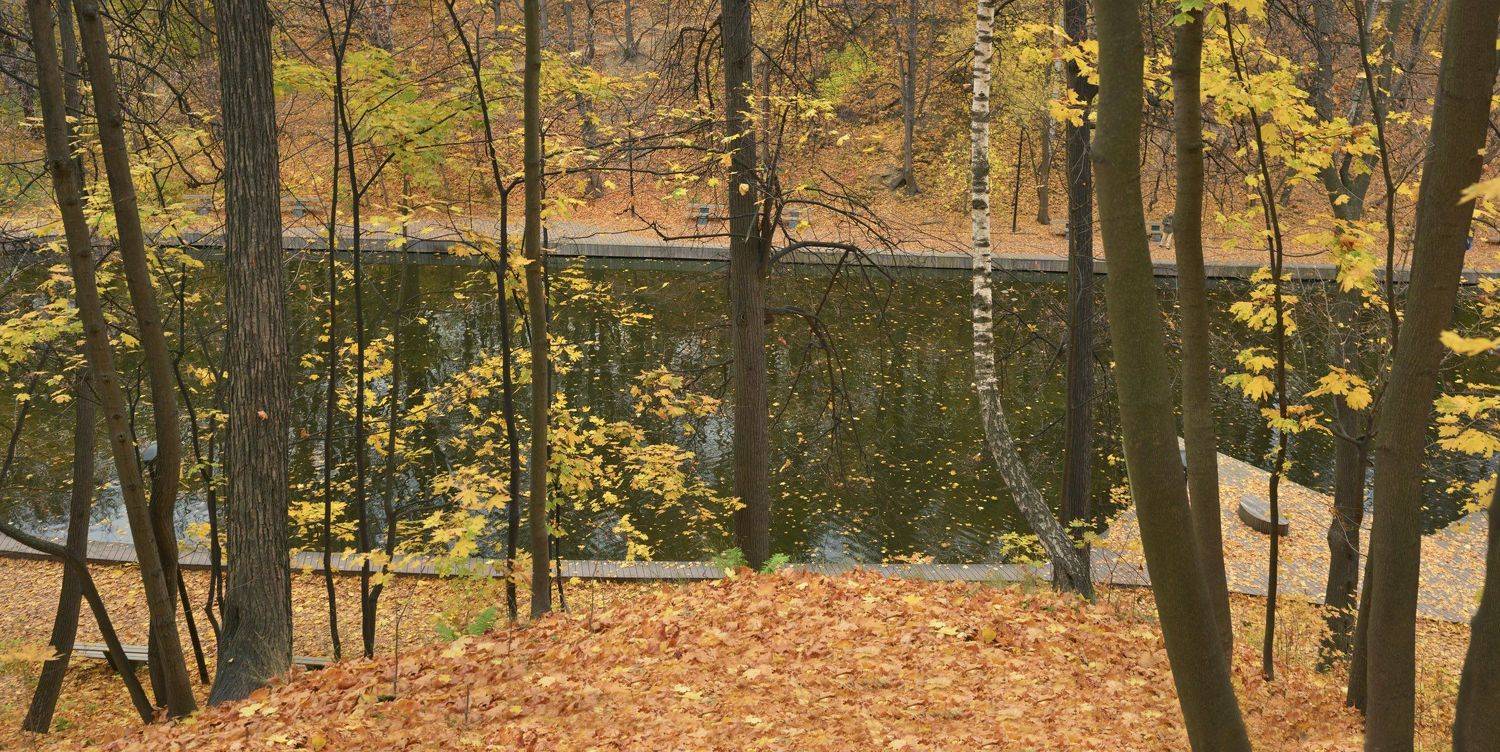 , Сергей Седов