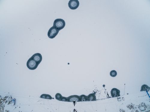 Molecule