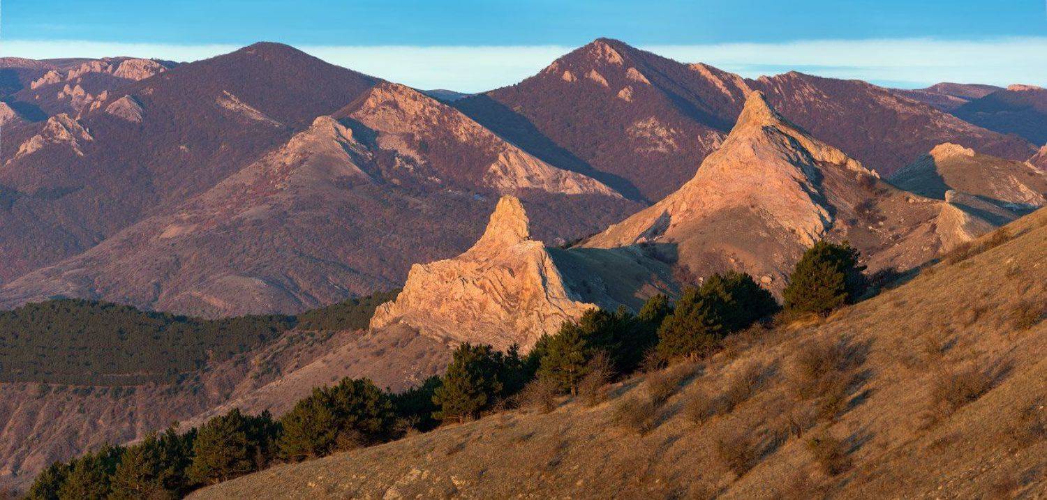 , Андрей Гусаченко