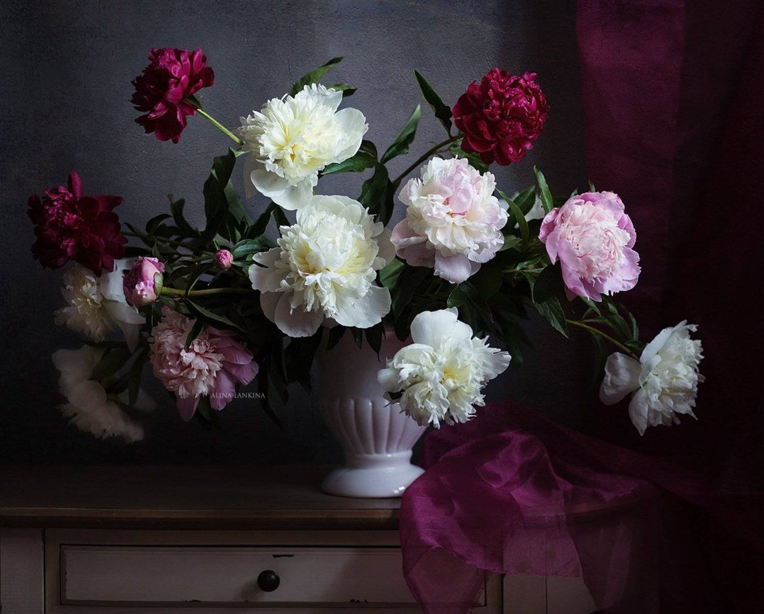 натюрморт, фотонатюрморт, цветы, пионы, свет, тень, лето, алина ланкина, Алина Ланкина