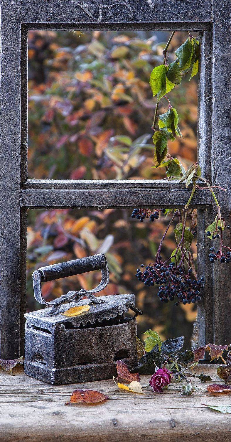 , Татьяна Назмутдинова