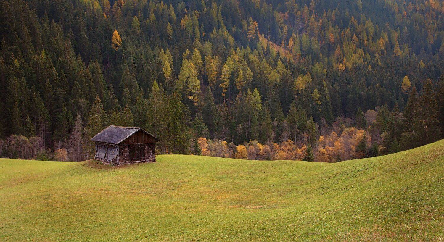 , Игорь Дубровский