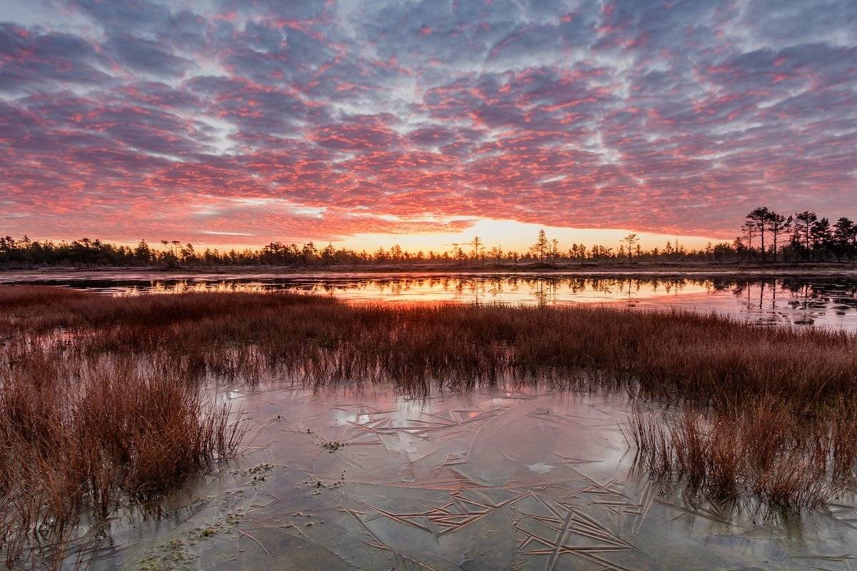 , Александр Абросимов