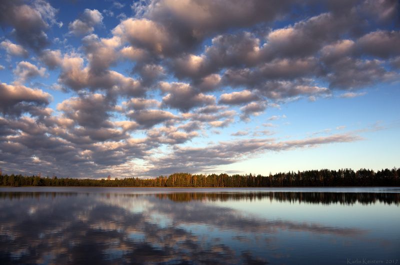 Лесное озеро на рассвете фото превью