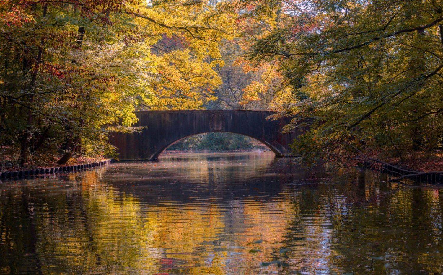 осень, Виктор Климкин
