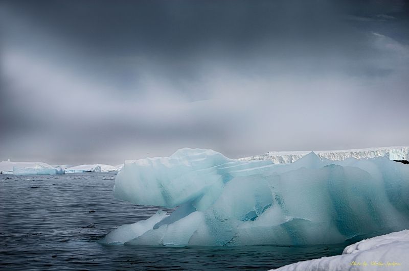 Антарктида 11 фото превью