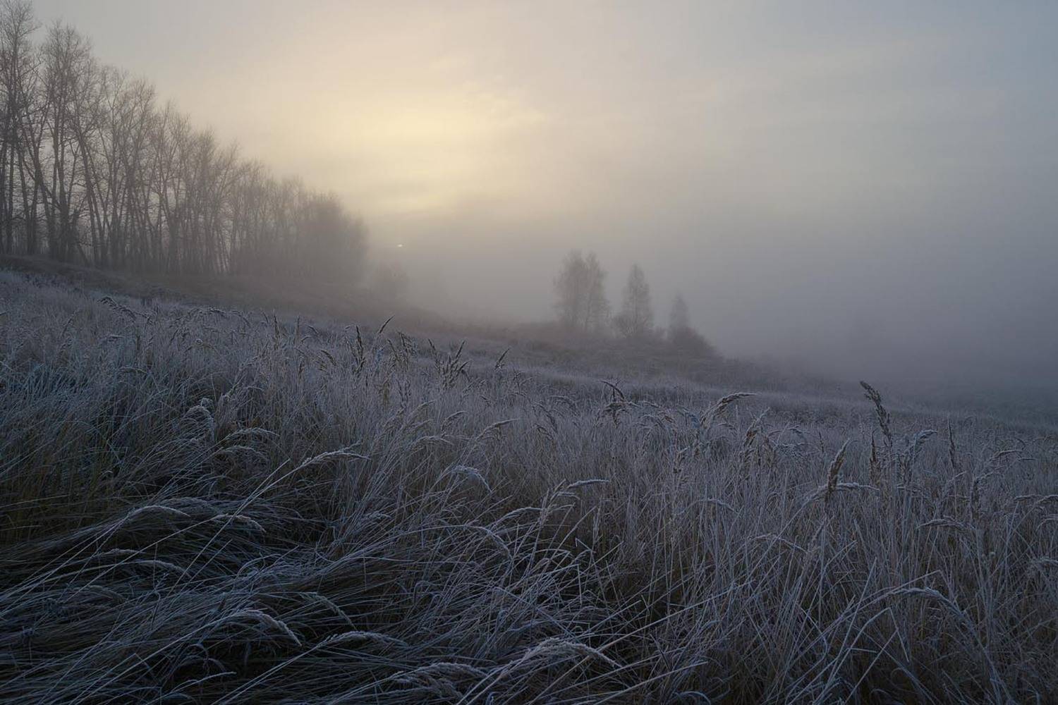осень, ноябрь, природа, пейзаж, архангельское, Михаил Агеев