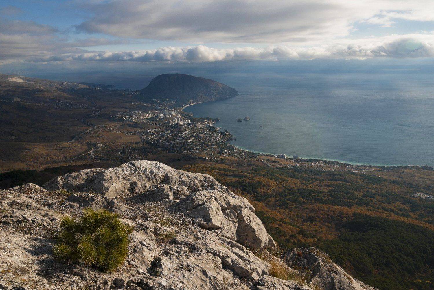 , Саша  Вайсберг / Waldschnepfe /