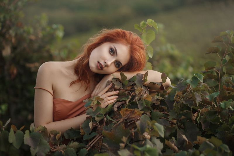 фото превью