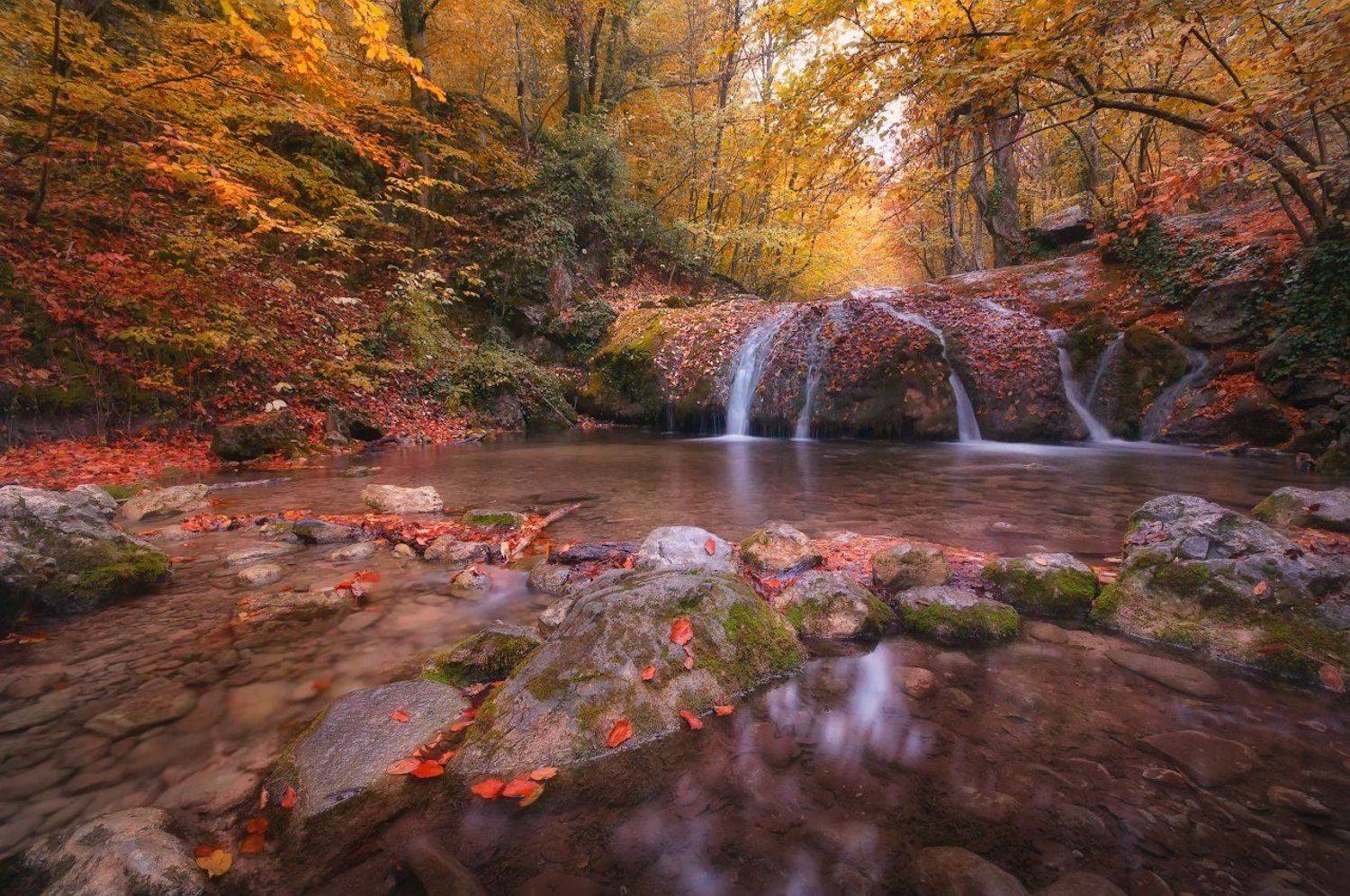 , Жмак Евгений