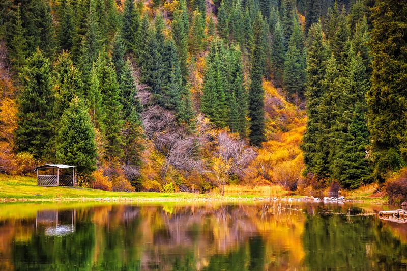 пейзаж,  природа, горы, облака, солнце, закат, лучи солнца, казахстан, величие, поле,  фотограф, алматы, фотограф алматы, landscape, the sun, nature, the mountains, awesome, amazing, kazakhstan, almaty, photographer,  sunset, beauty,  Осень фото превью