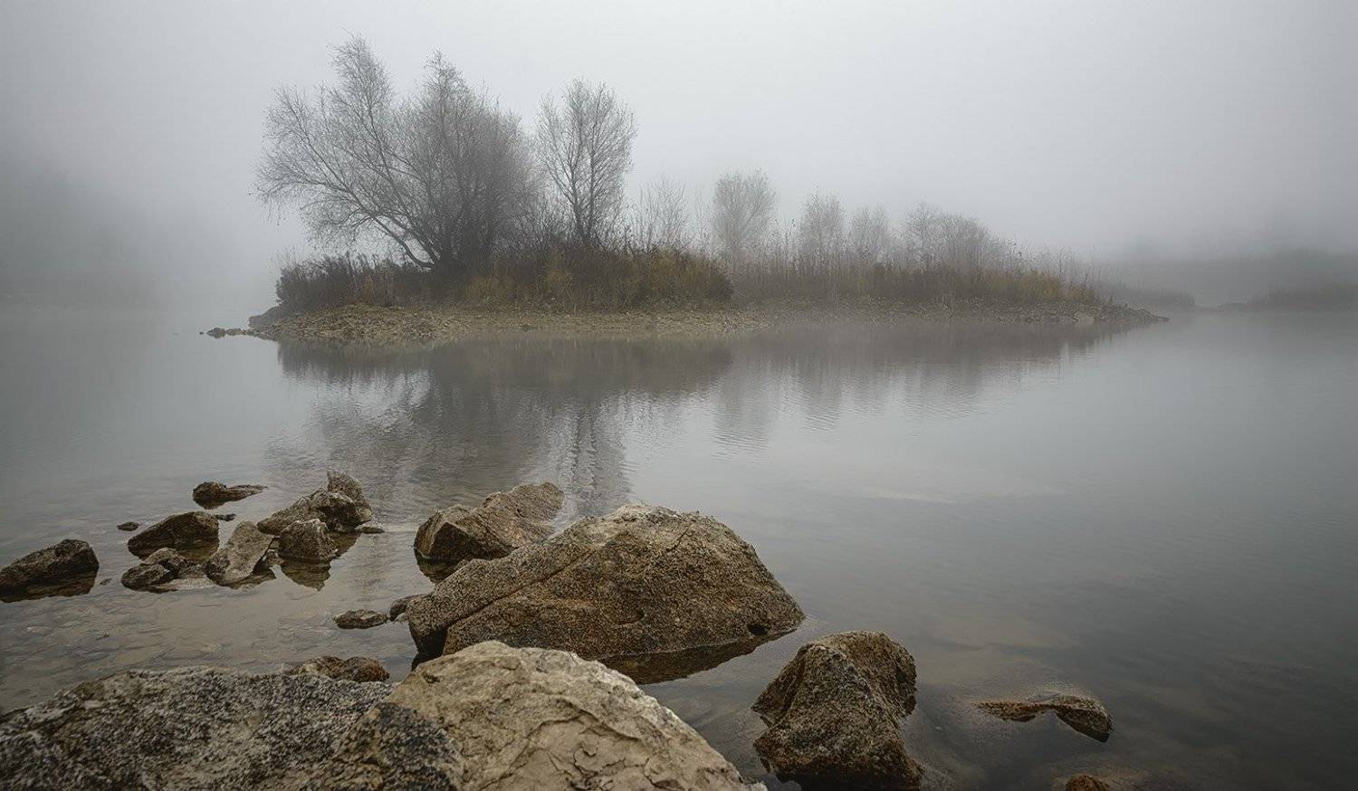 , Анатолий Зверев