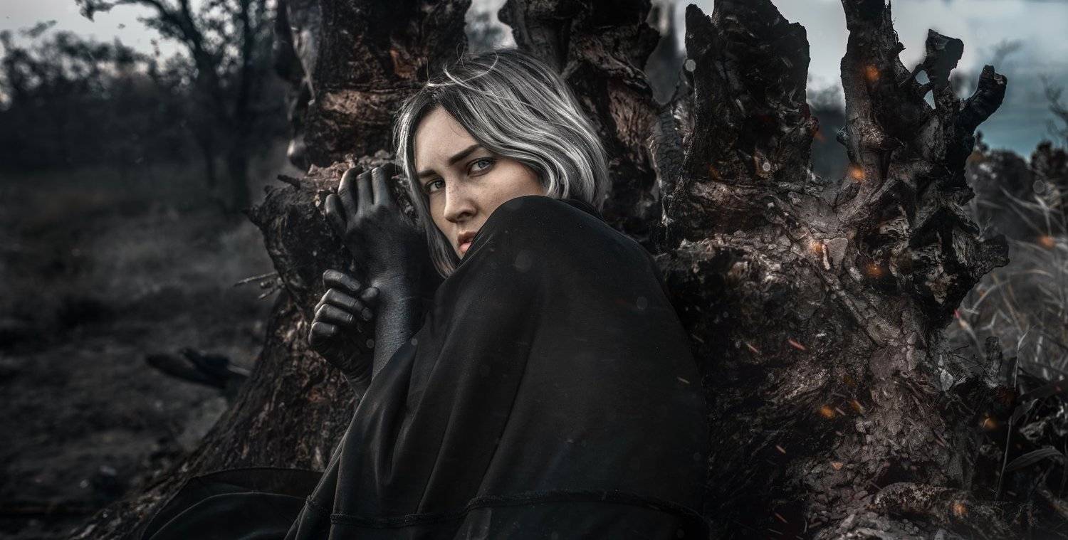 dark trees sparkles grey, Маргарита Жуковкая