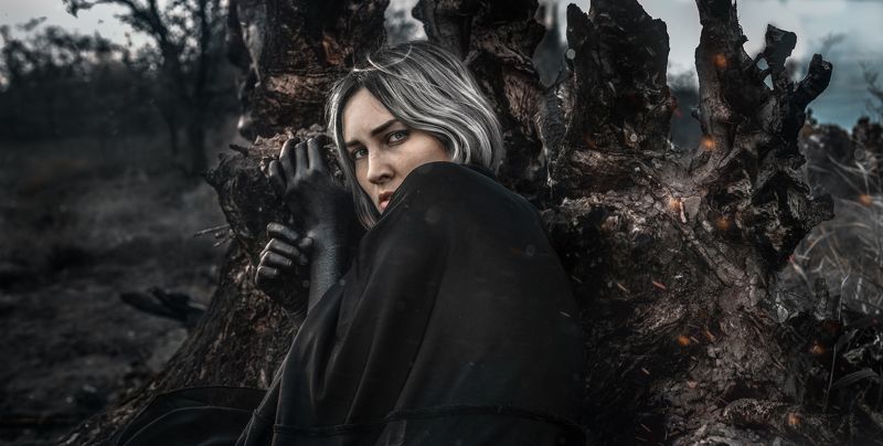 dark trees sparkles grey Mostly dark фото превью