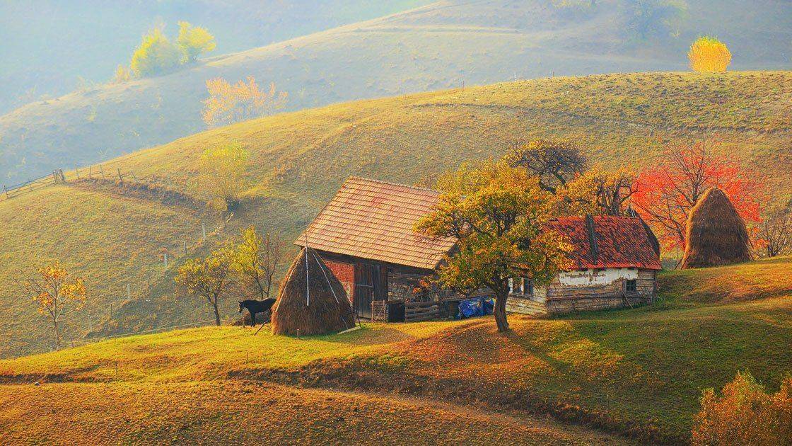 , Stefan Chirobocea