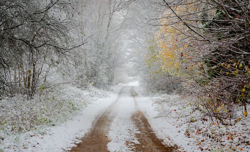 *** фото превью